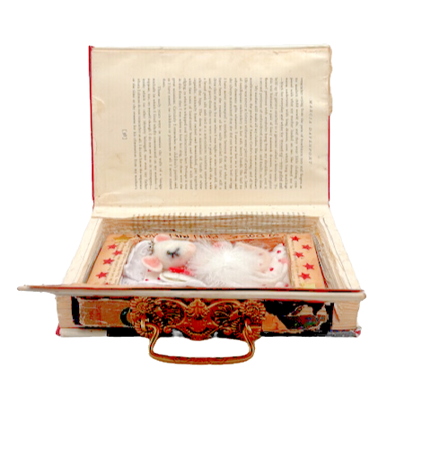 Buried Between Pages