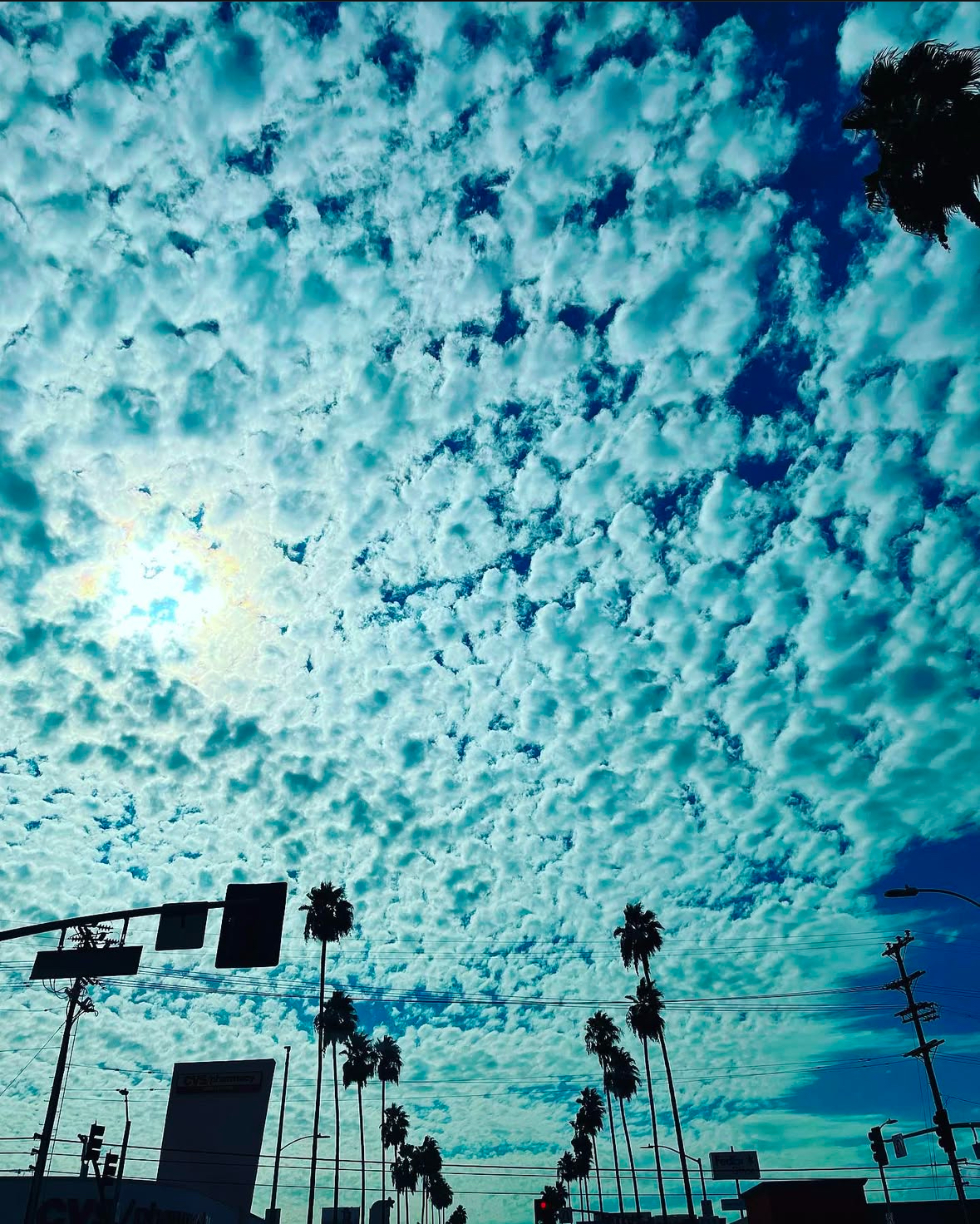 Bougie Blvd