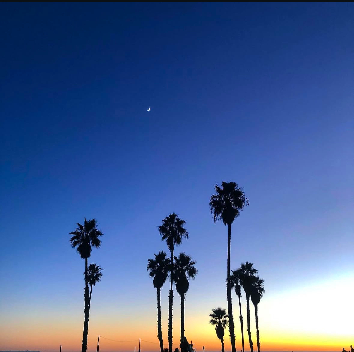 West Coast Nights